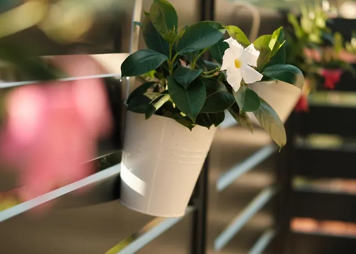 Harmony-two Bedroom Lägenhet Mlini